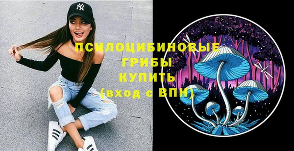 прущий лед Краснослободск