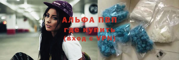 амф Кукмор