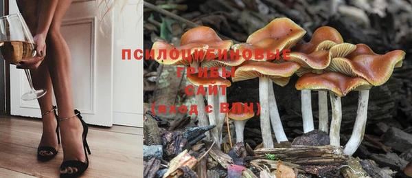 индика Куйбышев