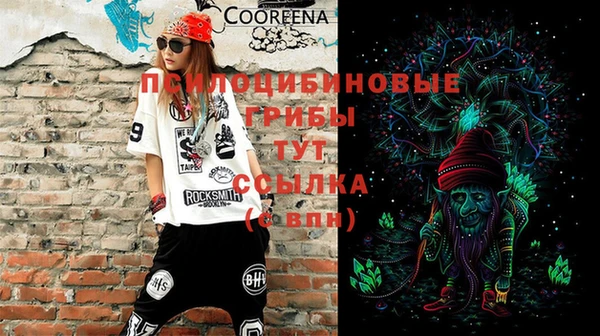 прущий лед Краснослободск