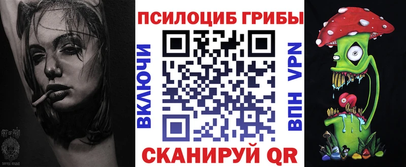 гидра как зайти  Нестеров  Галлюциногенные грибы Magic Shrooms 